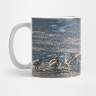 Mother Duck & Ducklings Mug